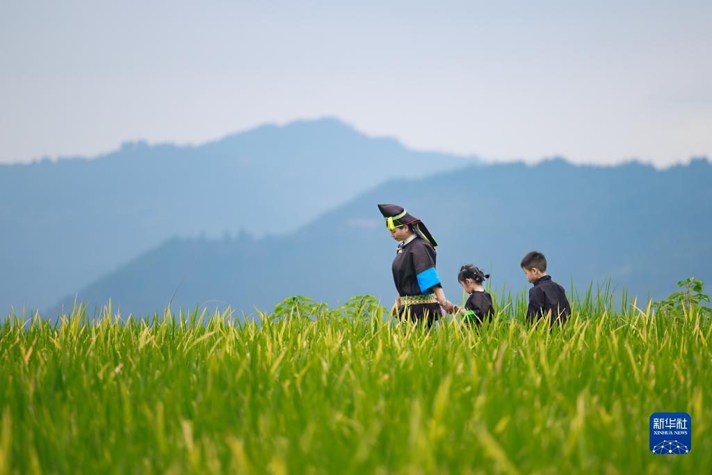 777苹果老虎机